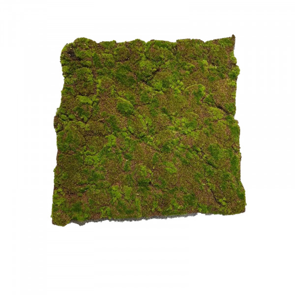 HTI-Living Flora Moosmatte Braun-Grün 50 x 50 cm Kunstpflanze