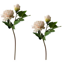 HTI-Living Flora Pfingstrose 2er Set Rosa HTI-Living Flora Pfingstrose 2er Set Rosa