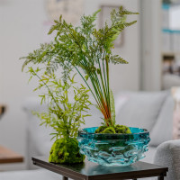 Vorschau: NTK-Collection Ceres Glasschale Aqua Vorschau: NTK-Collection Ceres Glasschale Aqua