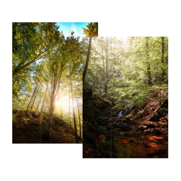 Paravent Wald01