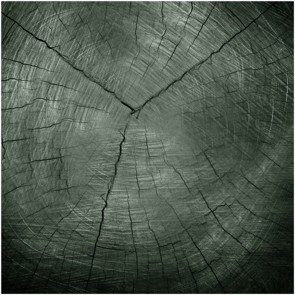 HTI-Line Tree Glasbild