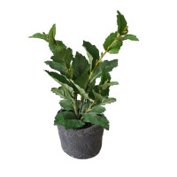 HTI-Living Flora Grünpflanze im Topf Kunstpflanze HTI-Living Flora Grünpflanze im Topf Kunstpflanze