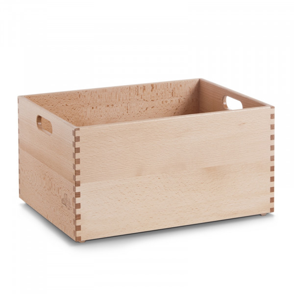HTI-Living Buche lackiert Allzweckkiste