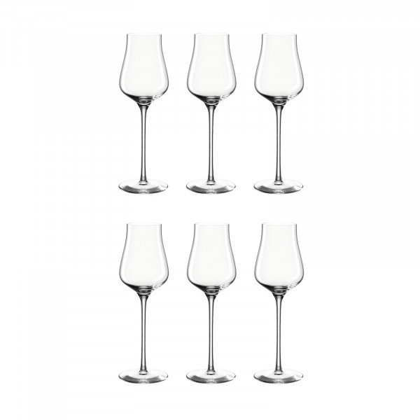 Leonardo BRUNELLI Grappaglas 6er Set 210 ml