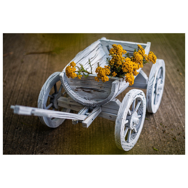 HTI-Living Sommerset Holzhandwagen Weiß Rustikal