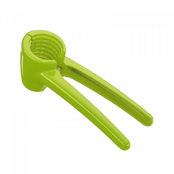 Cilio KNACKI COLORE Nussknacker