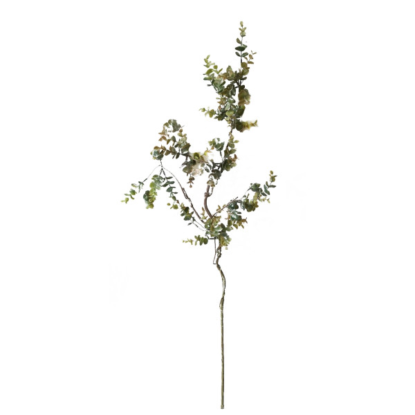 Eukalyptusstengel Flora02, Kunstpflanze