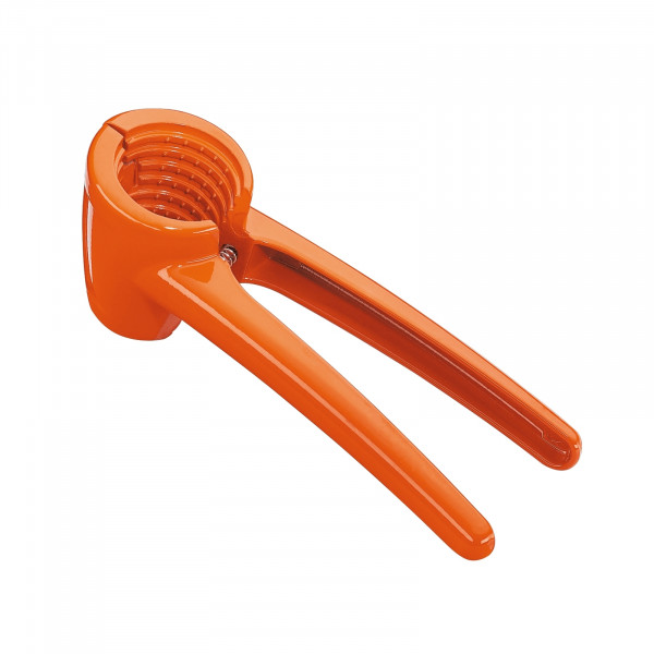 Cilio KNACKI COLORE Nussknacker