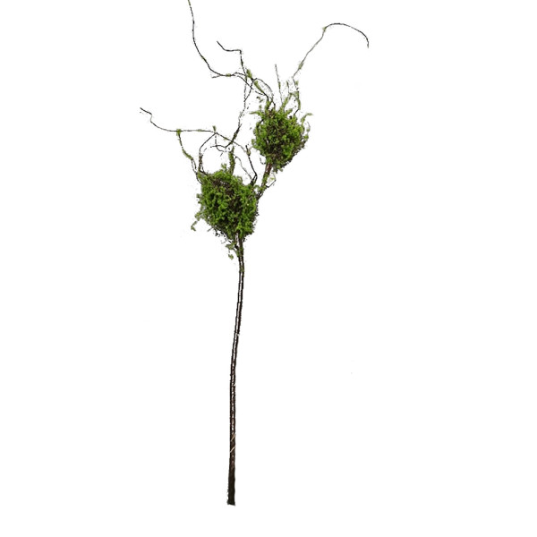 Strauch mit Vogelnestern, Flora, Kunstpflanze