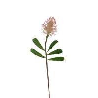 HTI-Living Flora Frühlingsblume weiße Blüte Kunstpflanze HTI-Living Flora Frühlingsblume weiße Blüte Kunstpflanze