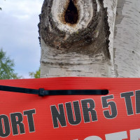 HTI-Living Ideal für Straßenlampen, Bäume und Zäune Kabelbinder für Plakatbefestigung 80cm HTI-Living Ideal für Straßenlampen, Bäume und Zäune Kabelbinder für Plakatbefestigung 80cm