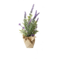 HTI-Living Flora Lavendeltopf 26 cm Kunstpflanze HTI-Living Flora Lavendeltopf 26 cm Kunstpflanze