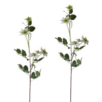 NTK-Collection 78 cm Clematis Weiß 2er Set NTK-Collection 78 cm Clematis Weiß 2er Set