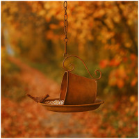 HTI-Living zum Aufhängen Rostoptik Dekorative Vogelfutterstation Metall Tasse HTI-Living zum Aufhängen Rostoptik Dekorative Vogelfutterstation Metall Tasse